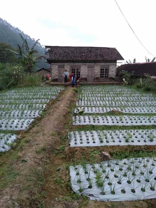 tanah kawasan wisata alam