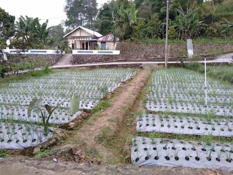 tanah kawasan wisata alam