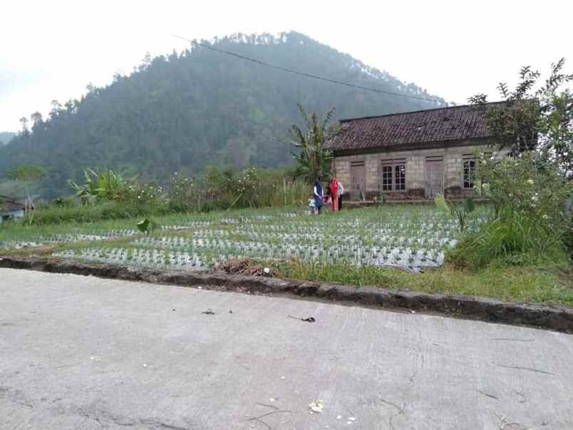 tanah kawasan wisata alam