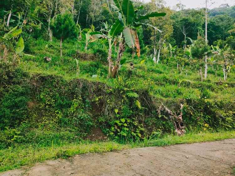 tanah kawasan wisata alam