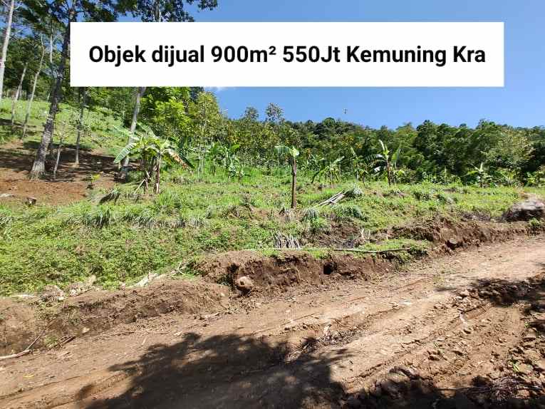 tanah kawasan wisata alam