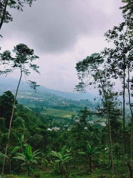 tanah kawasan wisata alam
