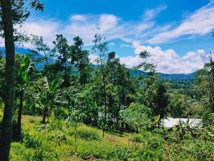 tanah kawasan wisata alam