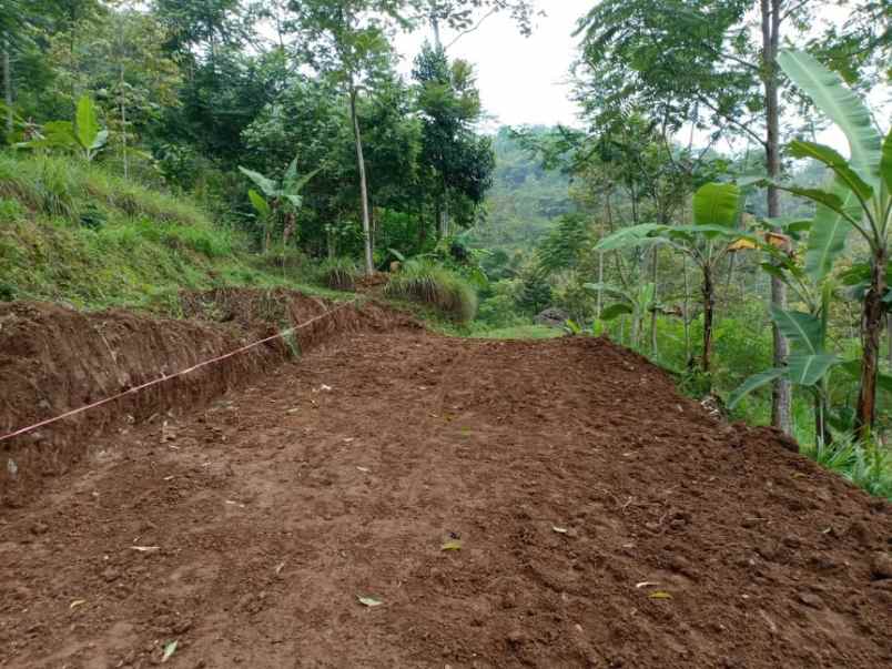 tanah kawasan wisata alam