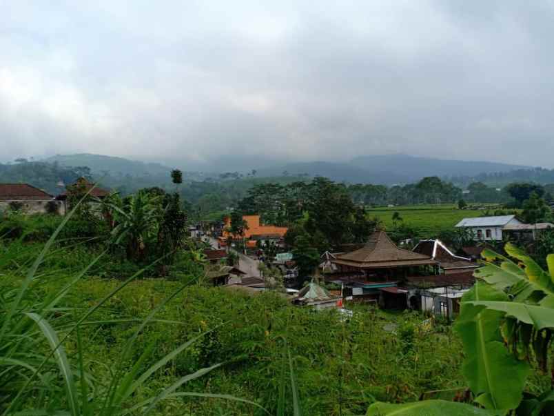 tanah kawasan wisata alam
