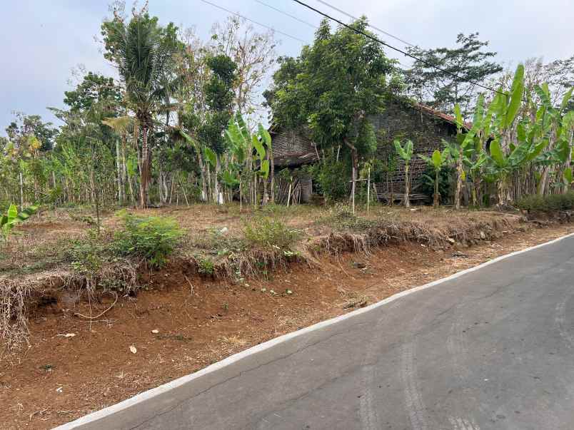 tanah kebun durian strategis di tamansari kerjo