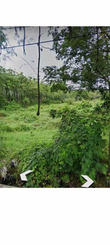 tanah kebun strategis pinggir jl raya