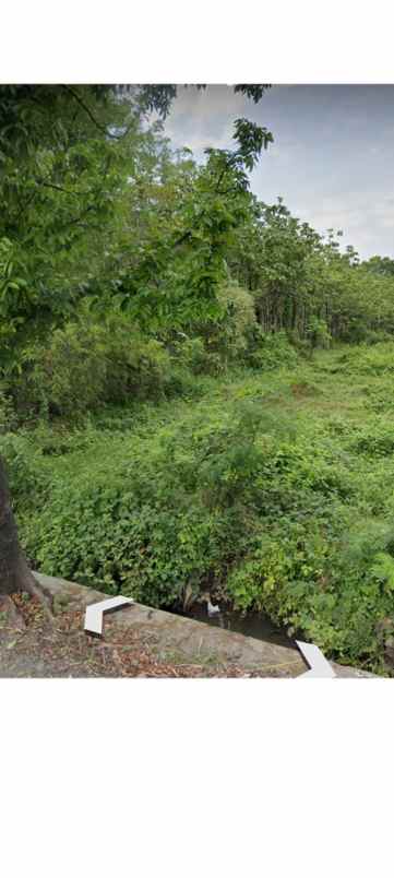 tanah kebun strategis pinggir jl raya