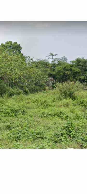 tanah kebun strategis pinggir jl raya