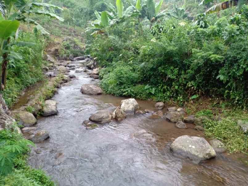 tanah kemuning ngargoyoso