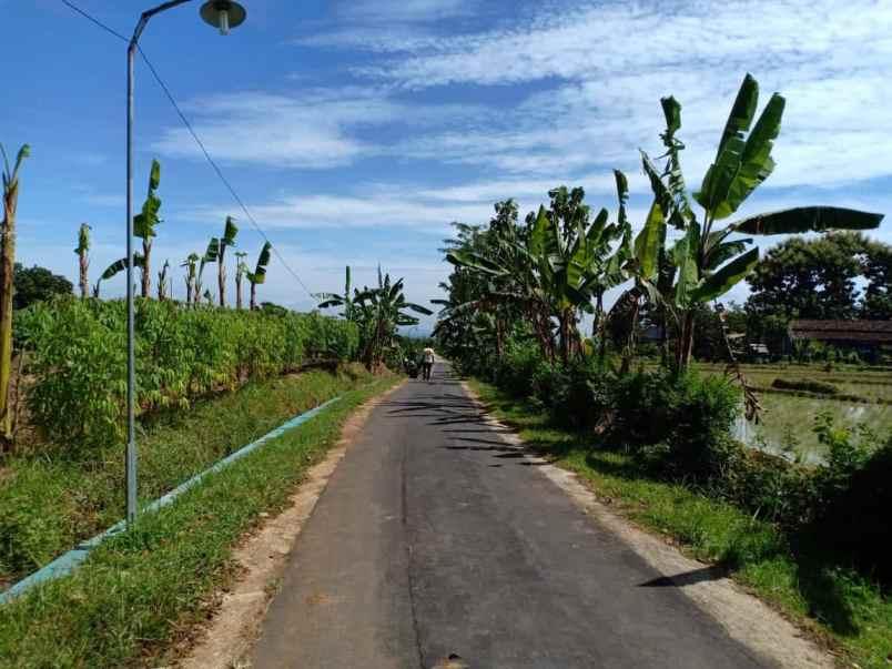 tanah kerjo karanganyar jawa