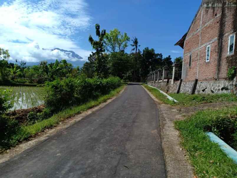 tanah kerjo karanganyar jawa