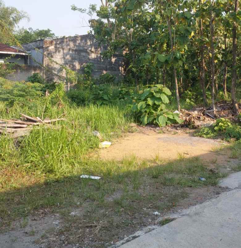 tanah klipang sendangmulyo semarang