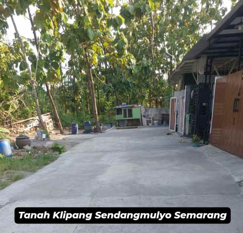tanah klipang sendangmulyo semarang