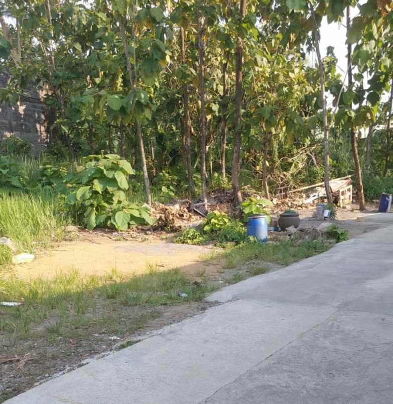 tanah klipang sendangmulyo semarang