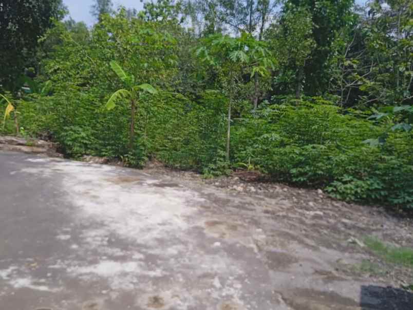 tanah murah 185rb m kebakkramat karanganyar