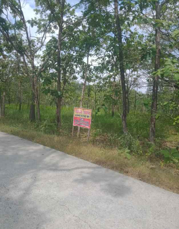 tanah murah multifungsi sangat luas