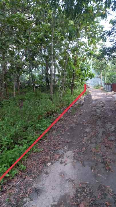 tanah plembon kidul logandeng