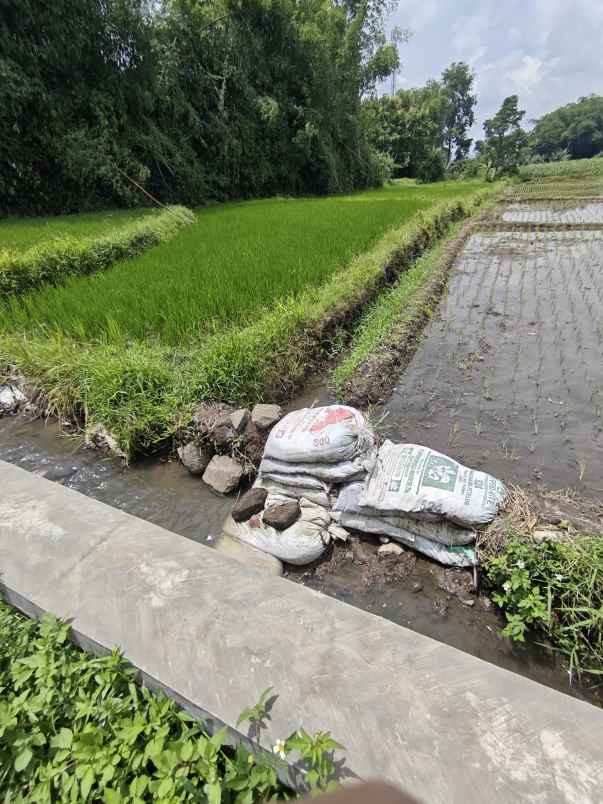 tanah sawah siap bangun
