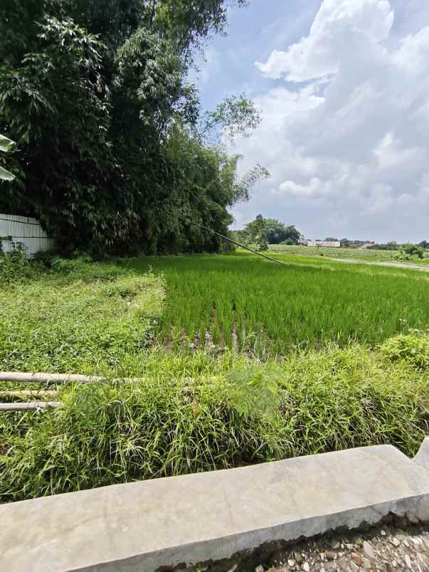 tanah sawah siap bangun