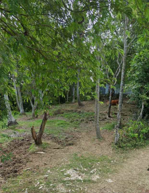 tanah view sawah dan jungle dekat pantai kelecung bali