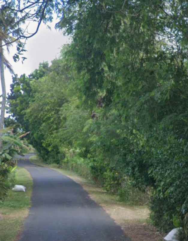 tanah view sawah dan jungle dekat pantai kelecung bali