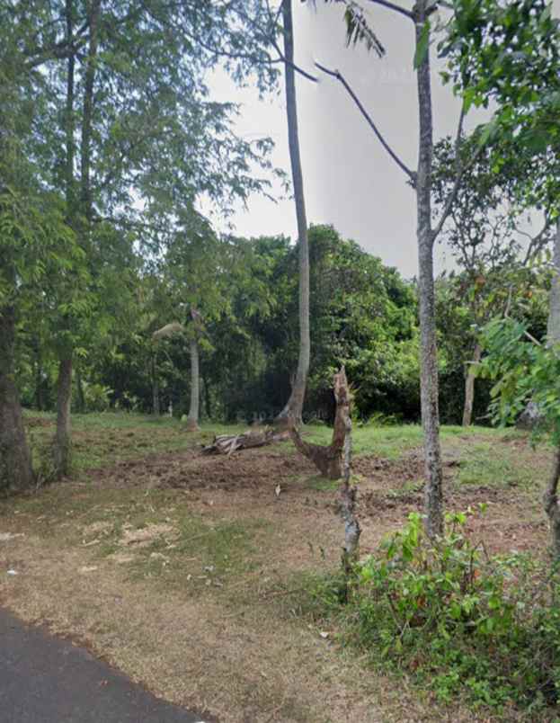 tanah view sawah dan jungle dekat pantai kelecung bali