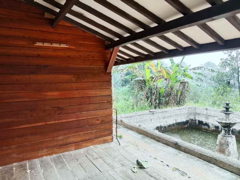 vila sawah kebun lahan subur produktif subang