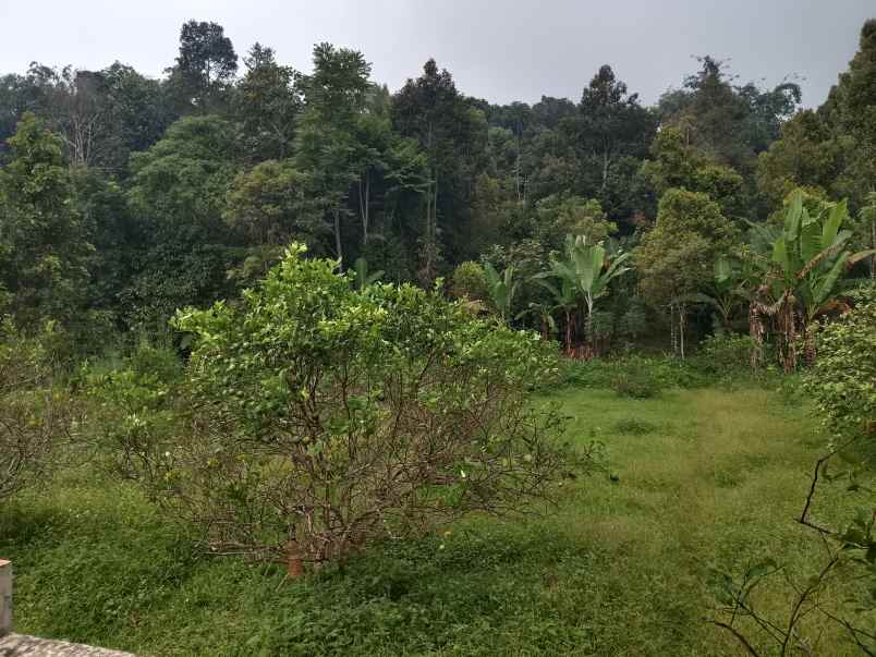 vila sawah kebun lahan subur produktif subang