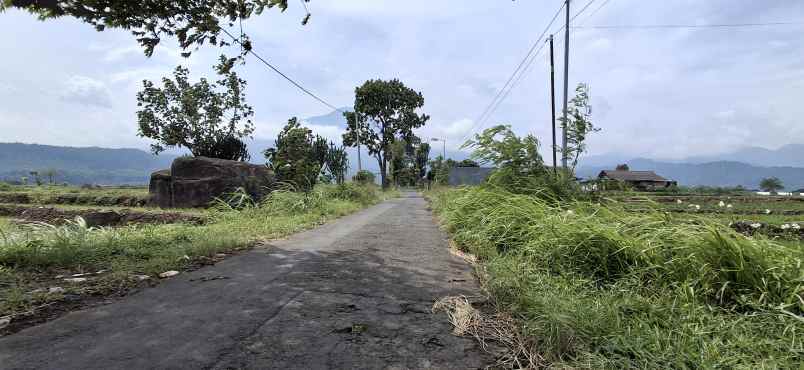 villa mezanin pacet 5 menit dari taman kelinci