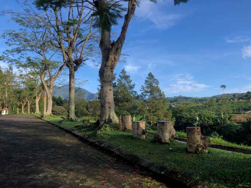 villa villa kota bunga