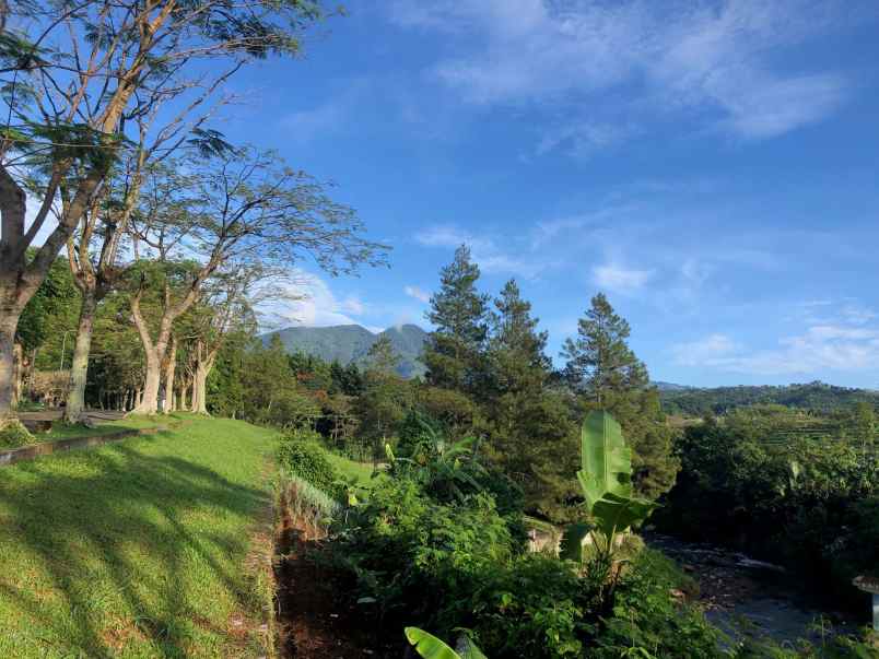 villa villa kota bunga