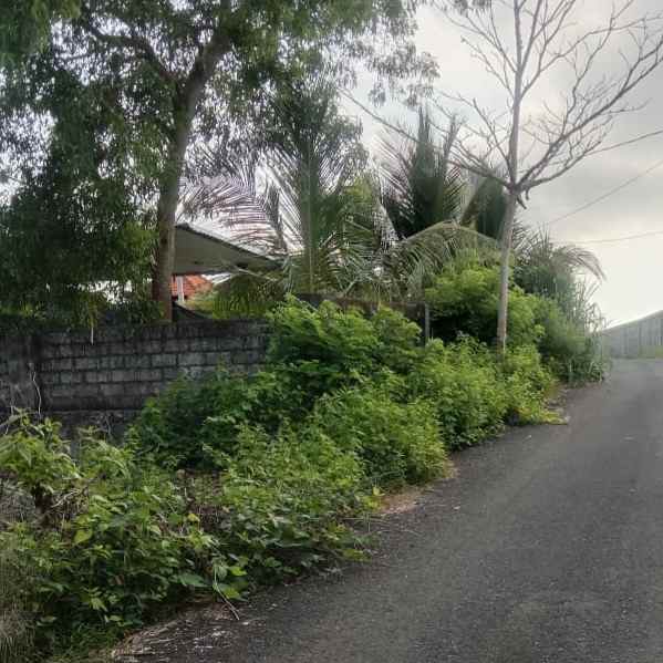 dijual 31 6 are jl gayang sari kutuh kuta selatan