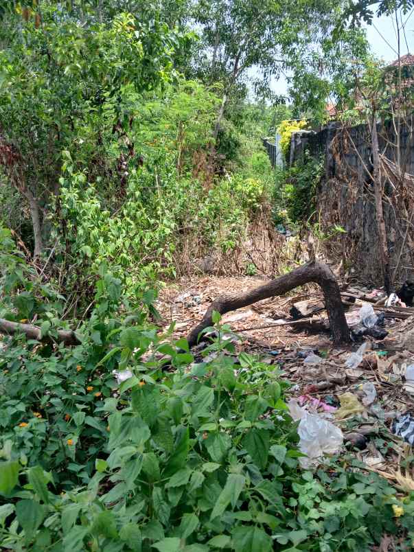 dijual 31 6 are jl gayang sari kutuh kuta selatan