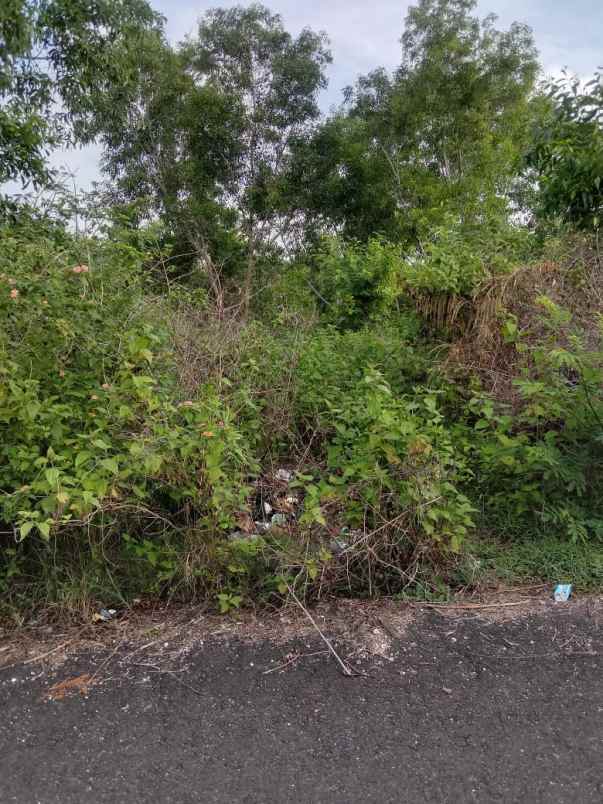 dijual 31 6 are jl gayang sari kutuh kuta selatan