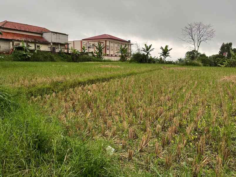 dijual cepat tanah cisaat sukabumi jawa barat