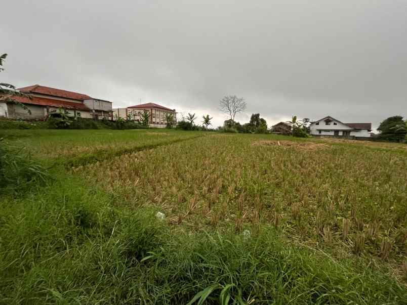 dijual cepat tanah cisaat sukabumi jawa barat