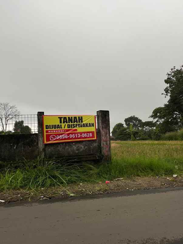 dijual cepat tanah cisaat sukabumi jawa barat