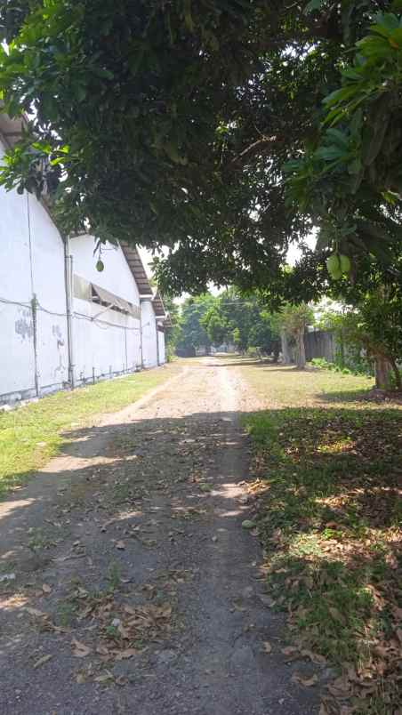 dijual gudang ex pabrik hitung tanah di krian