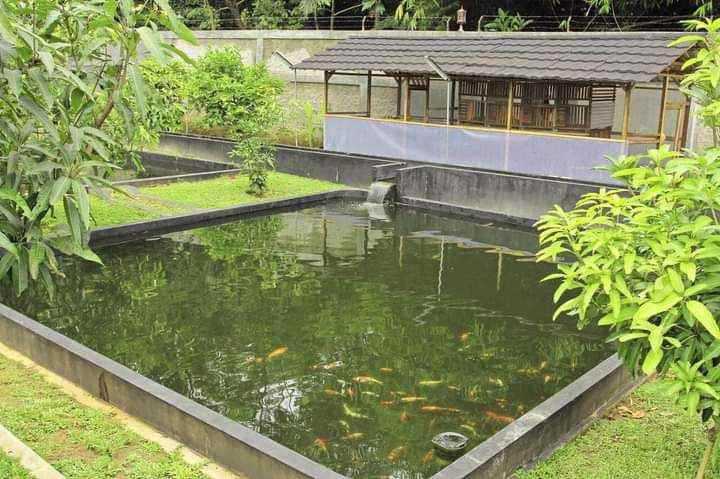 dijual hotel ciampea udik bogor