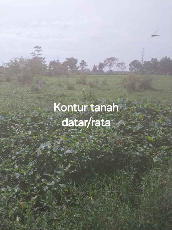 dijual murah bu tanah shm bandung timur kab bandung