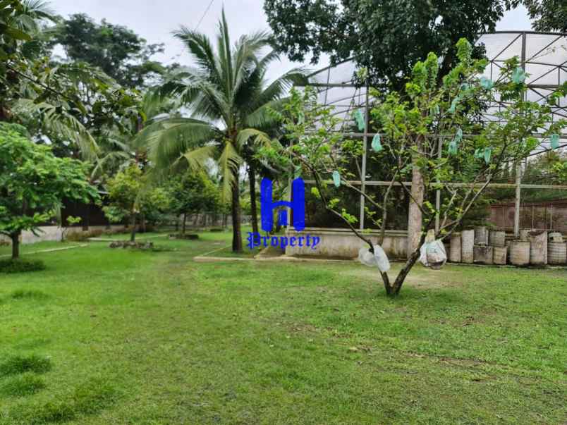 dijual ruko gudang kantor jalan kayu besar jl batang