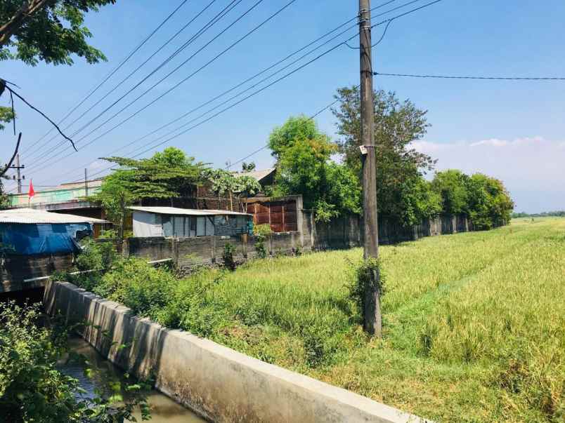dijual ruko gudang kantor jln imam bonjol no 25 kel