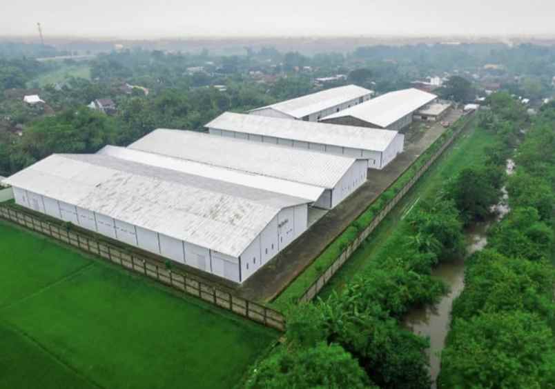 dijual ruko gudang kantor kec baron kab nganjuk jawa