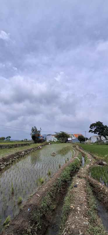 dijual ruko gudang kantor kembangbelor kabupaten