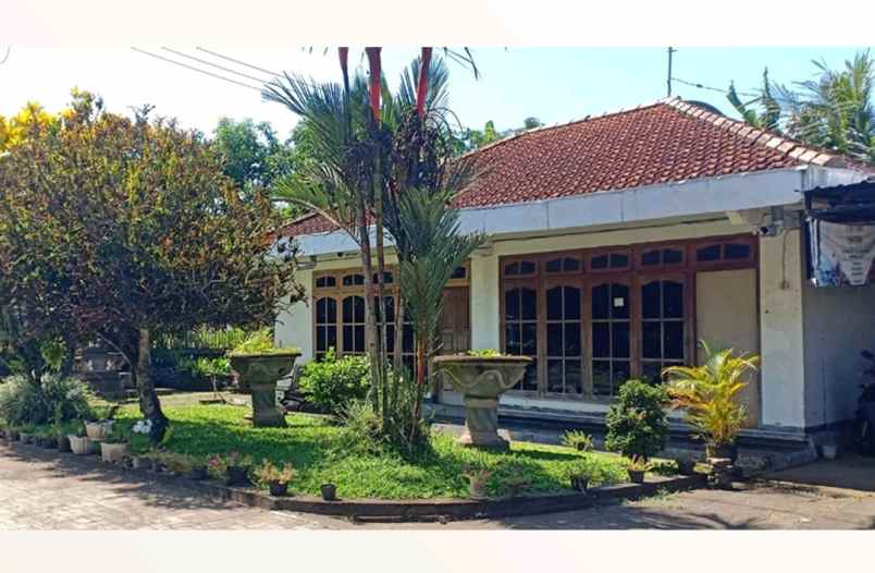 dijual ruko gudang kantor mendoyo jembrana bali