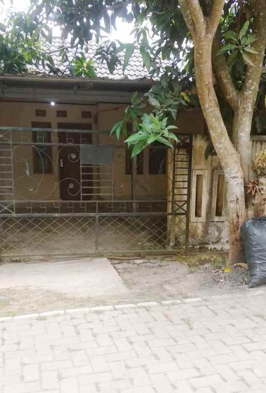 dijual rumah cikumpay campaka purwakarta