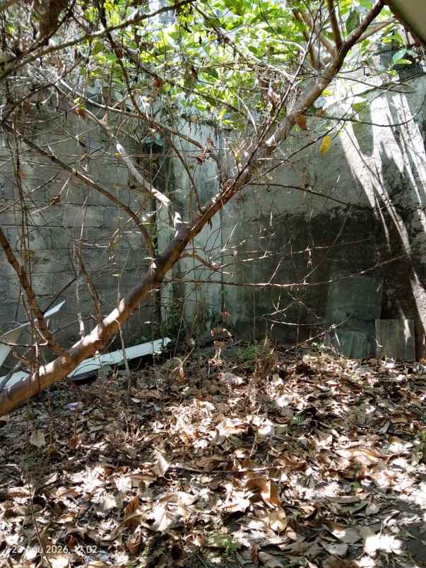 dijual rumah dawet ringin