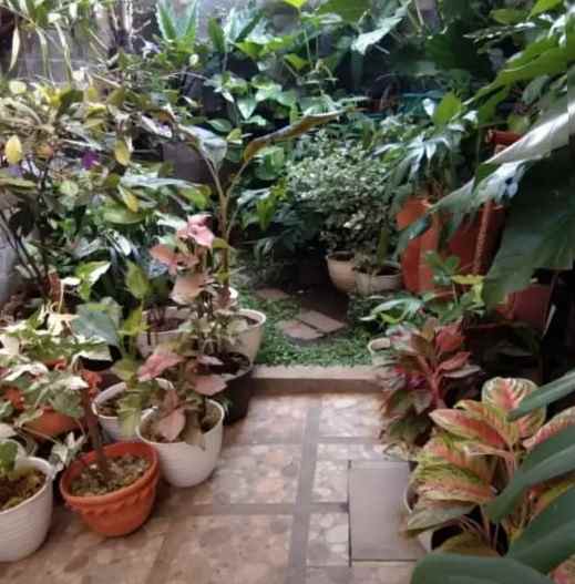 dijual rumah jalan cimindi raya