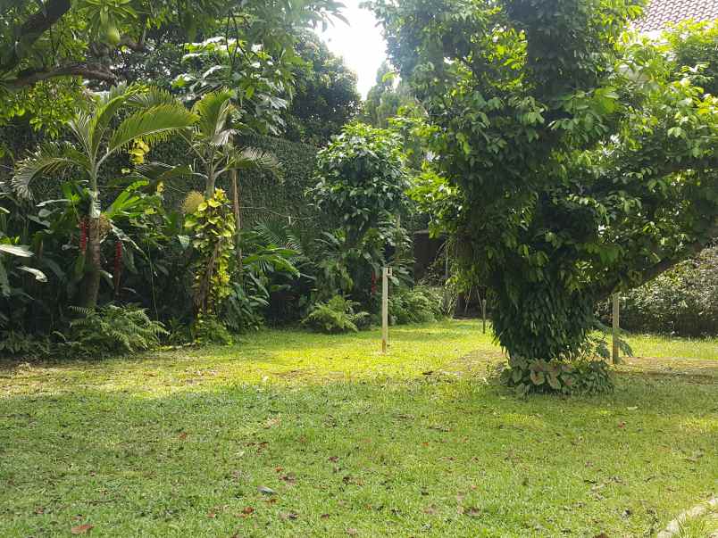 dijual rumah jl bango pondok labu